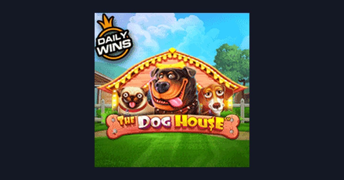 Trik Auto Maxwin Menang Mudah di Slot The Dog House Pragmatic Play